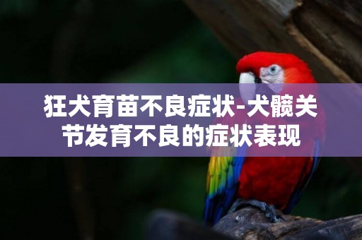 狂犬育苗不良癥狀-犬髖關節發育不良的癥狀表現