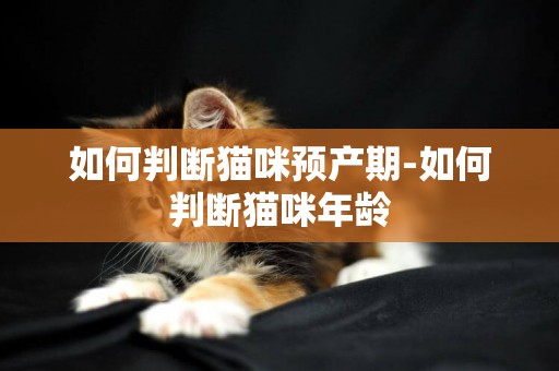 如何判斷貓咪預產期-如何判斷貓咪年齡