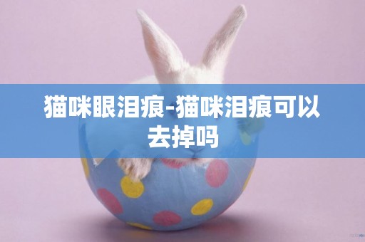 貓咪眼淚痕-貓咪淚痕可以去掉嗎