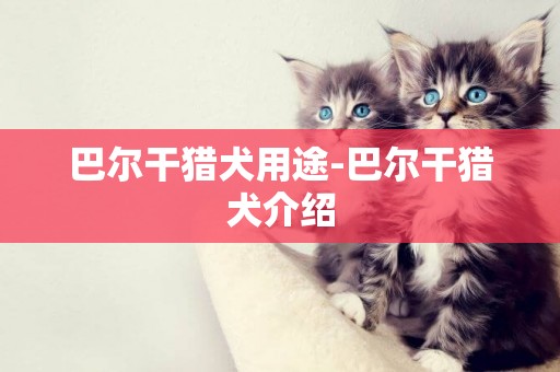 巴爾干獵犬用途-巴爾干獵犬介紹