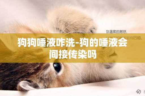 狗狗唾液咋洗-狗的唾液會間接傳染嗎