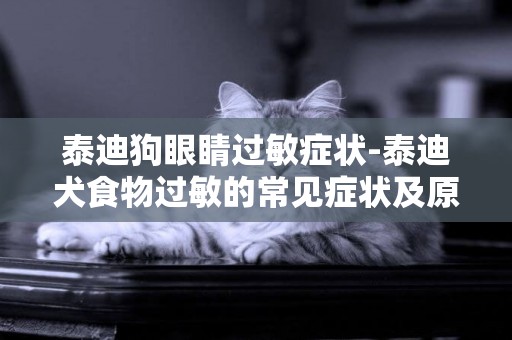泰迪狗眼睛過敏癥狀-泰迪犬食物過敏的常見癥狀及原因