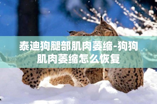 泰迪狗腿部肌肉萎縮-狗狗肌肉萎縮怎么恢復