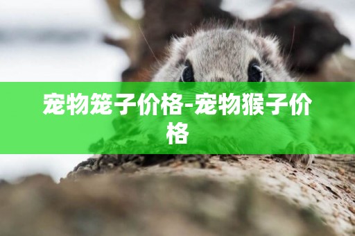 寵物籠子價格-寵物猴子價格