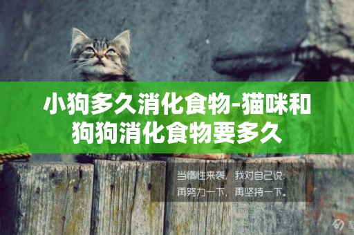 小狗多久消化食物-貓咪和狗狗消化食物要多久