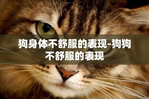 狗身體不舒服的表現-狗狗不舒服的表現