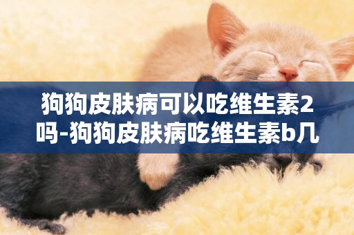 狗狗皮膚病可以吃維生素2嗎-狗狗皮膚病吃維生素b幾