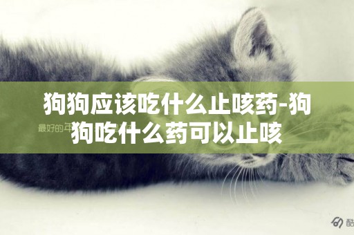 狗狗應該吃什么止咳藥-狗狗吃什么藥可以止咳