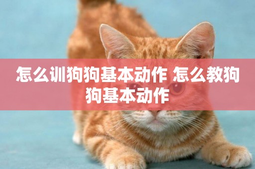 怎么訓狗狗基本動作 怎么教狗狗基本動作
