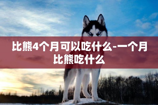 比熊4個月可以吃什么-一個月比熊吃什么