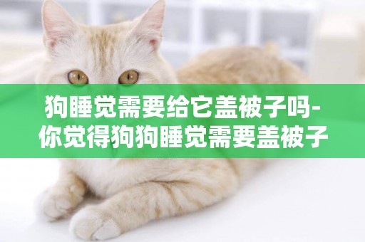 狗睡覺需要給它蓋被子嗎-你覺得狗狗睡覺需要蓋被子嗎
