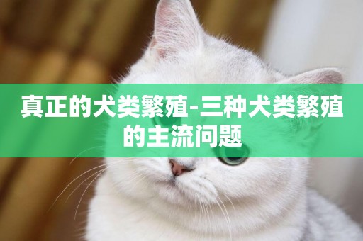 真正的犬類繁殖-三種犬類繁殖的主流問題
