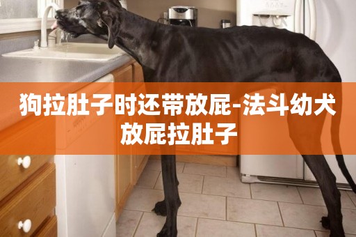 狗拉肚子時還帶放屁-法斗幼犬放屁拉肚子