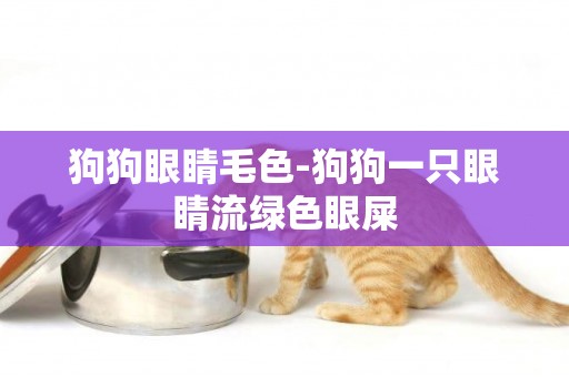狗狗眼睛毛色-狗狗一只眼睛流綠色眼屎