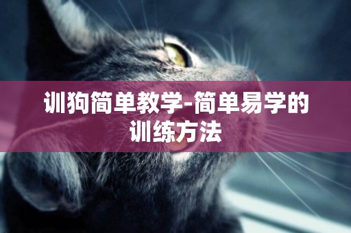 訓狗簡單教學-簡單易學的訓練方法