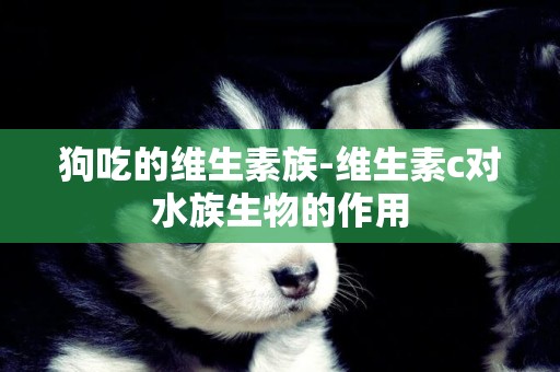 狗吃的維生素族-維生素c對水族生物的作用
