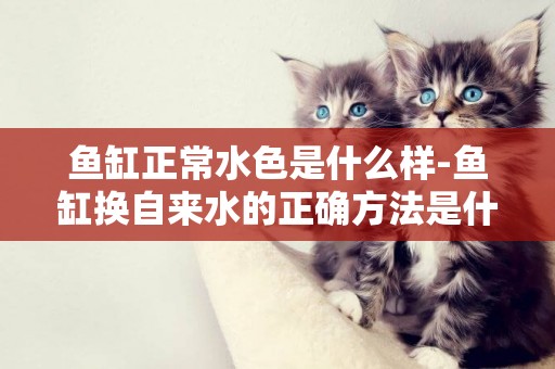 魚缸正常水色是什么樣-魚缸換自來水的正確方法是什么