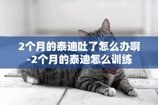 2個月的泰迪吐了怎么辦啊-2個月的泰迪怎么訓練