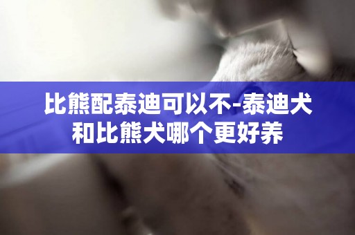比熊配泰迪可以不-泰迪犬和比熊犬哪個更好養