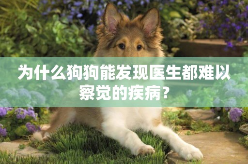 為什么狗狗能發現醫生都難以察覺的疾病？