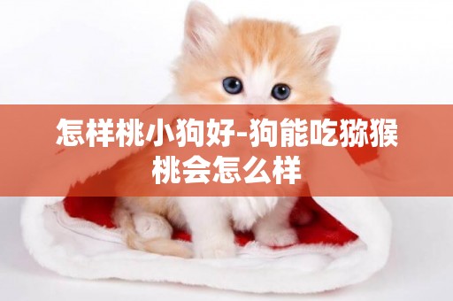 怎樣桃小狗好-狗能吃獼猴桃會怎么樣