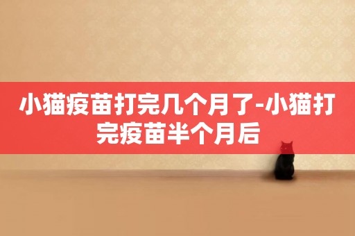 小貓疫苗打完幾個月了-小貓打完疫苗半個月后