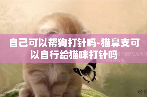 自己可以幫狗打針嗎-貓鼻支可以自行給貓咪打針嗎