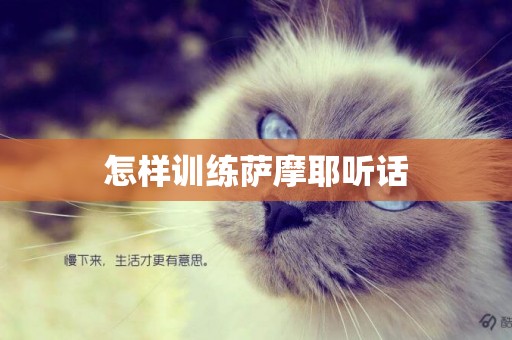 怎樣訓練薩摩耶聽話