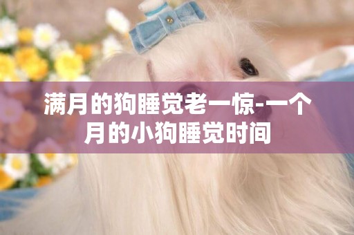 滿月的狗睡覺老一驚-一個月的小狗睡覺時間