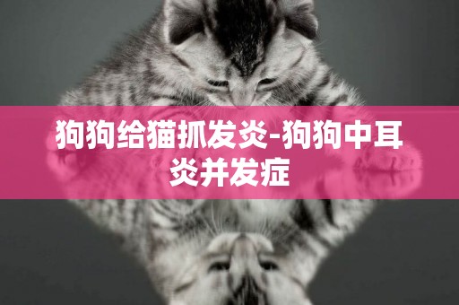 狗狗給貓抓發炎-狗狗中耳炎并發癥