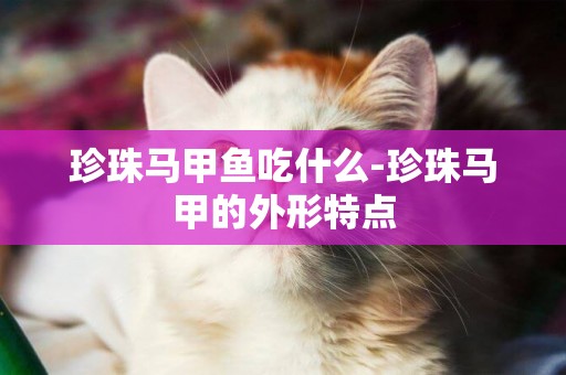 珍珠馬甲魚吃什么-珍珠馬甲的外形特點