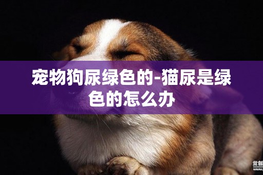 寵物狗尿綠色的-貓尿是綠色的怎么辦
