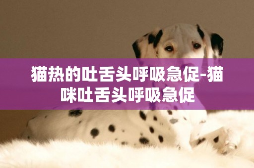 貓熱的吐舌頭呼吸急促-貓咪吐舌頭呼吸急促