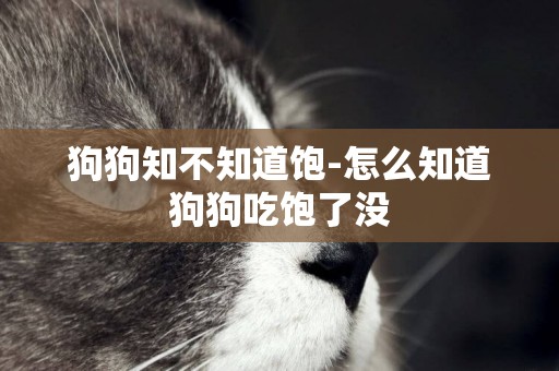 狗狗知不知道飽-怎么知道狗狗吃飽了沒