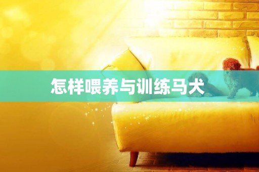 怎樣喂養與訓練馬犬 