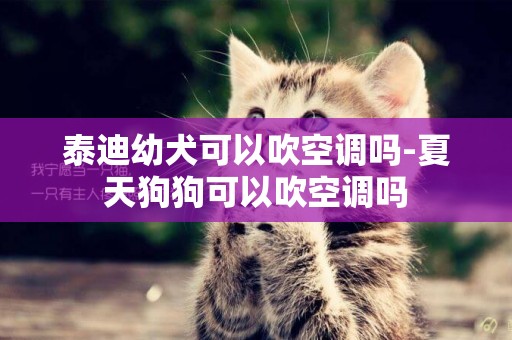 泰迪幼犬可以吹空調嗎-夏天狗狗可以吹空調嗎
