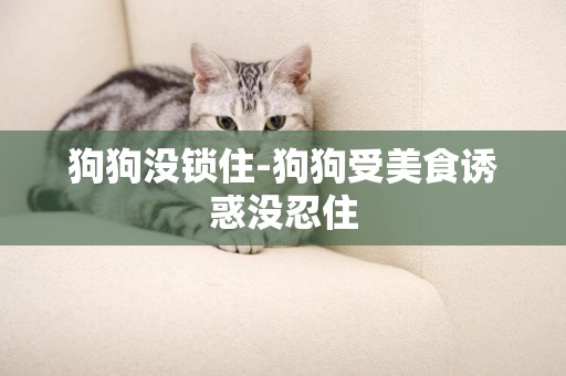 狗狗沒鎖住-狗狗受美食誘惑沒忍住