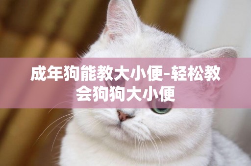 成年狗能教大小便-輕松教會狗狗大小便