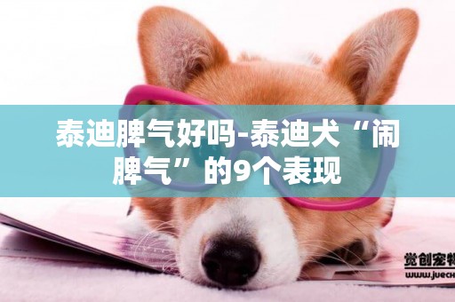 泰迪脾氣好嗎-泰迪犬“鬧脾氣”的9個表現