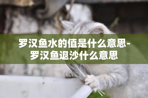 羅漢魚水的值是什么意思-羅漢魚退沙什么意思
