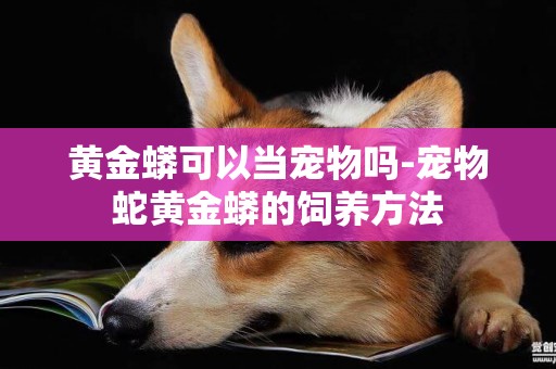 黃金蟒可以當寵物嗎-寵物蛇黃金蟒的飼養方法