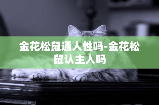 金花松鼠通人性嗎-金花松鼠認主人嗎