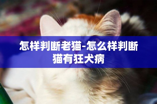 怎樣判斷老貓-怎么樣判斷貓有狂犬病