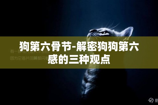 狗第六骨節-解密狗狗第六感的三種觀點