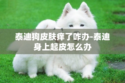 泰迪狗皮膚癢了咋辦-泰迪身上起皮怎么辦