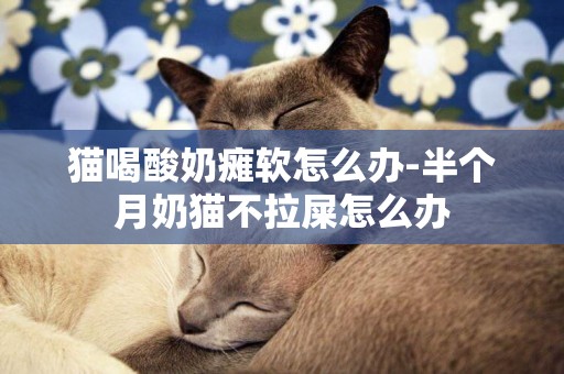 貓喝酸奶癱軟怎么辦-半個月奶貓不拉屎怎么辦