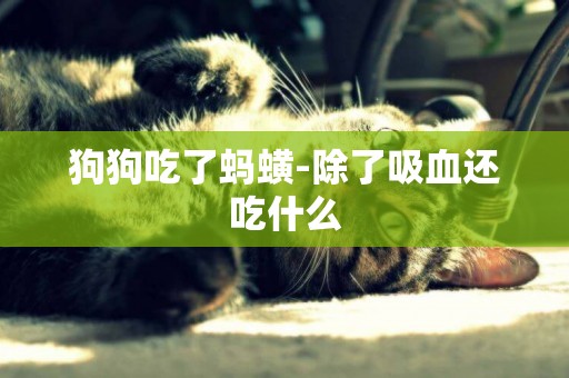 狗狗吃了螞蟥-除了吸血還吃什么