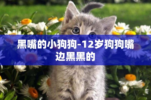 黑嘴的小狗狗-12歲狗狗嘴邊黑黑的