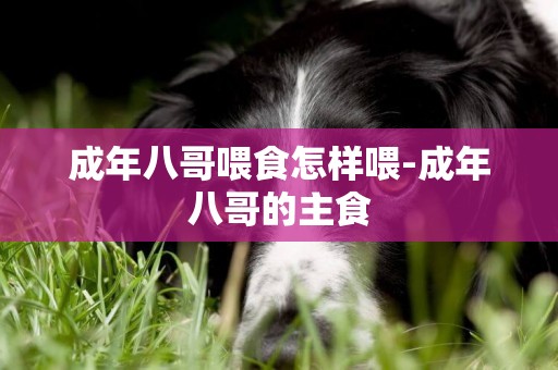 成年八哥喂食怎樣喂-成年八哥的主食