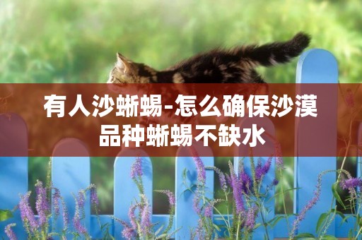 有人沙蜥蜴-怎么確保沙漠品種蜥蜴不缺水